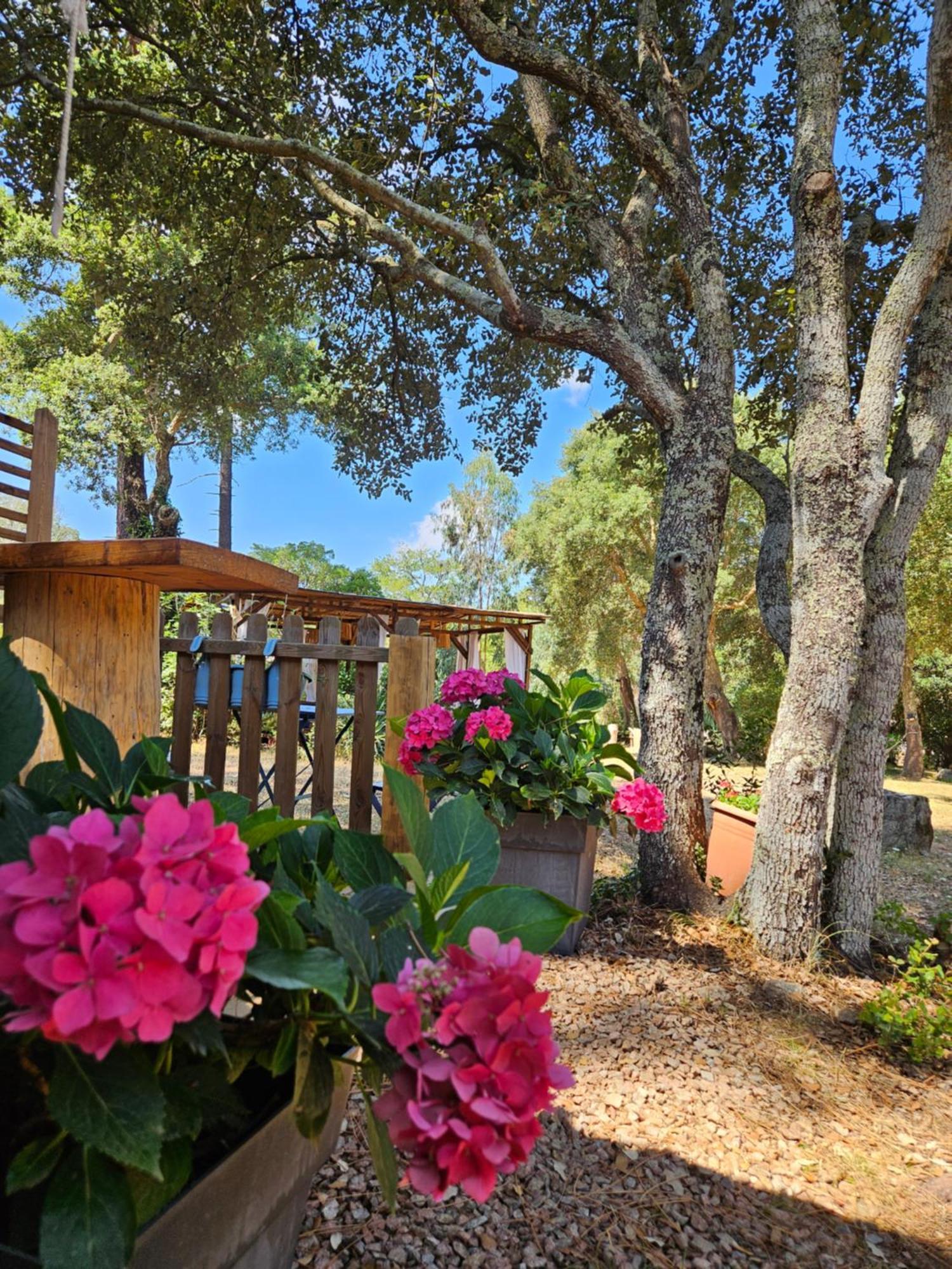 Domaine Authentique De Rose