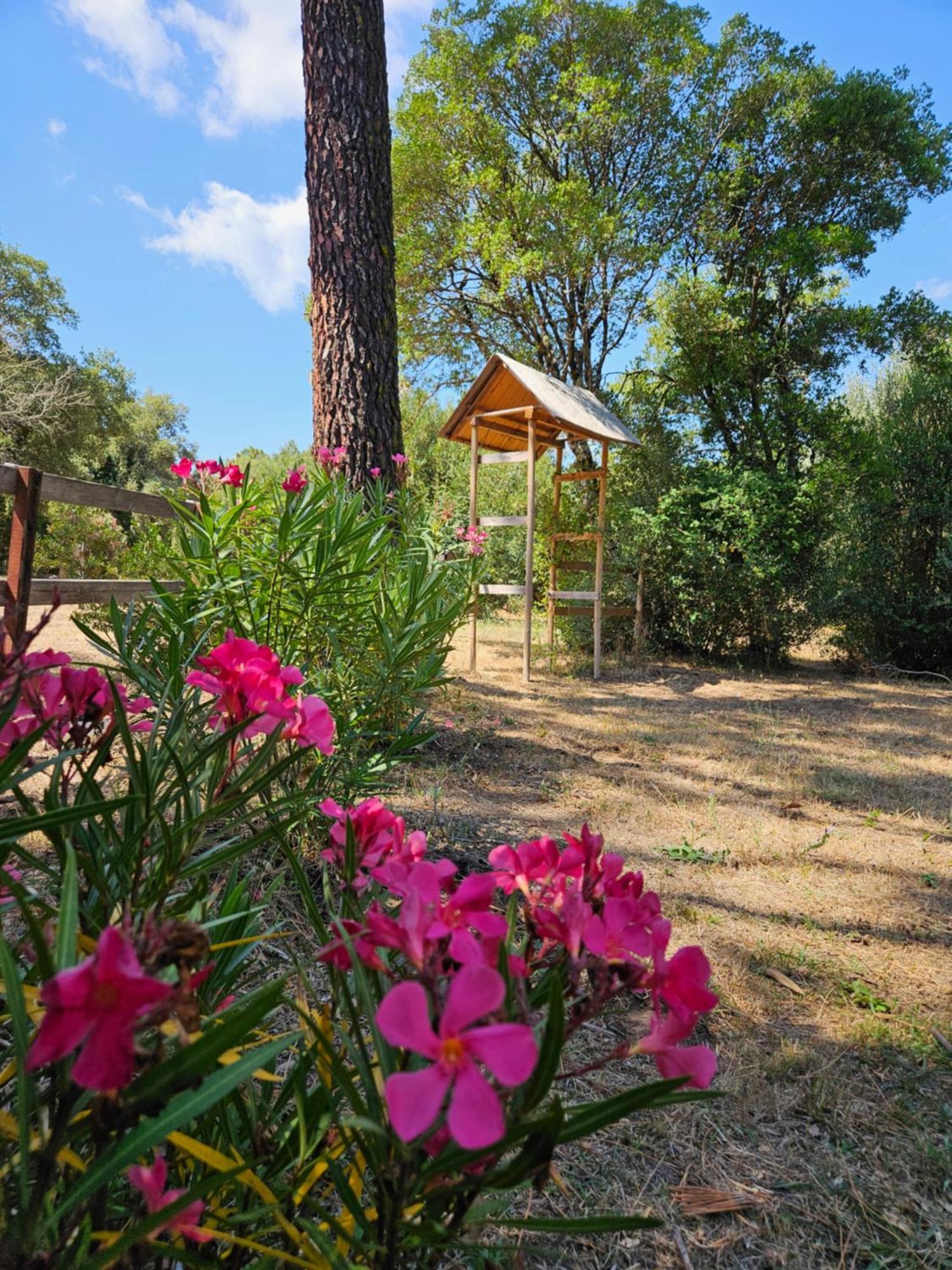 Luxury tent Domaine Authentique De Rose