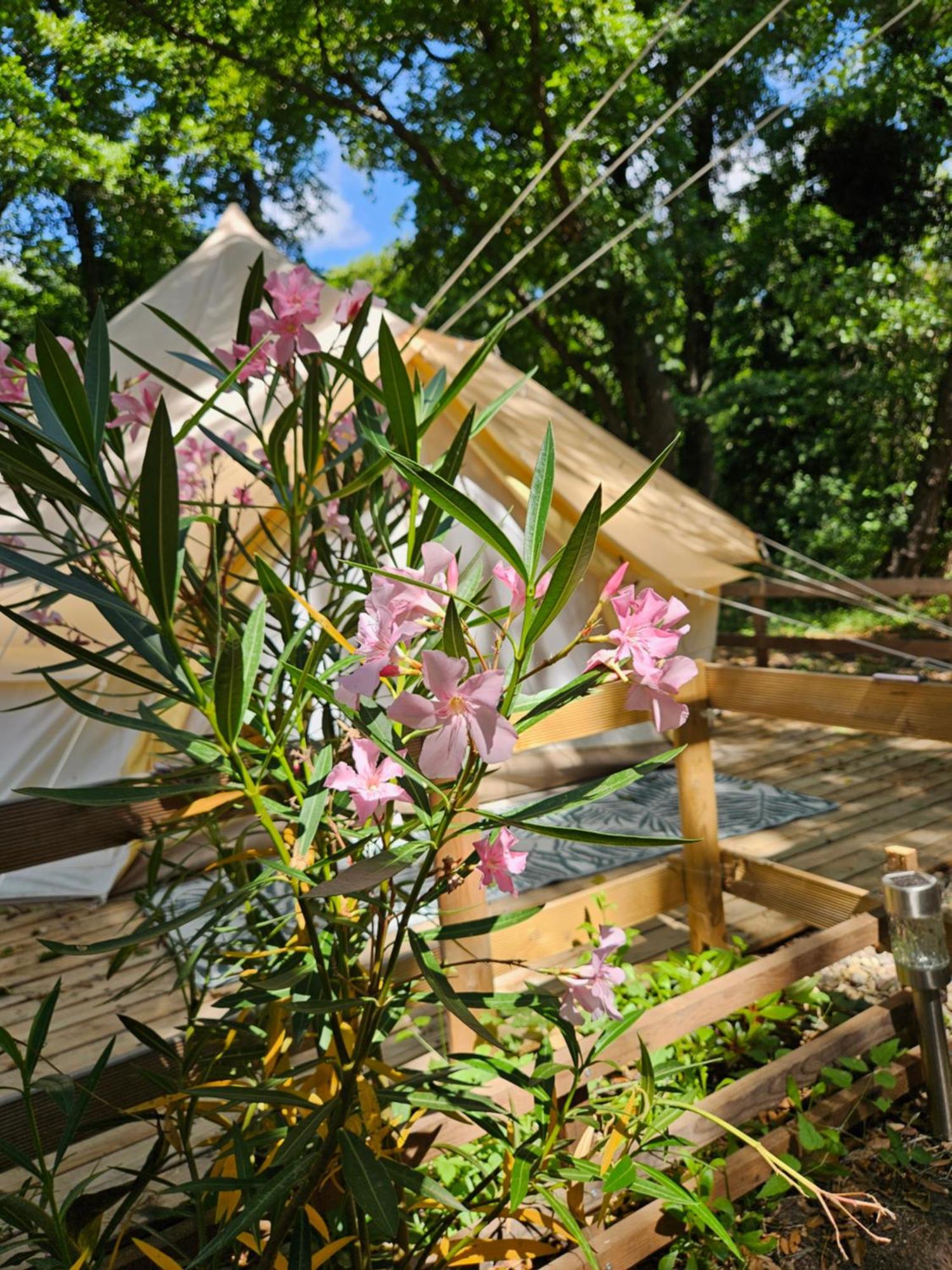 Luxury tent Domaine Authentique De Rose *