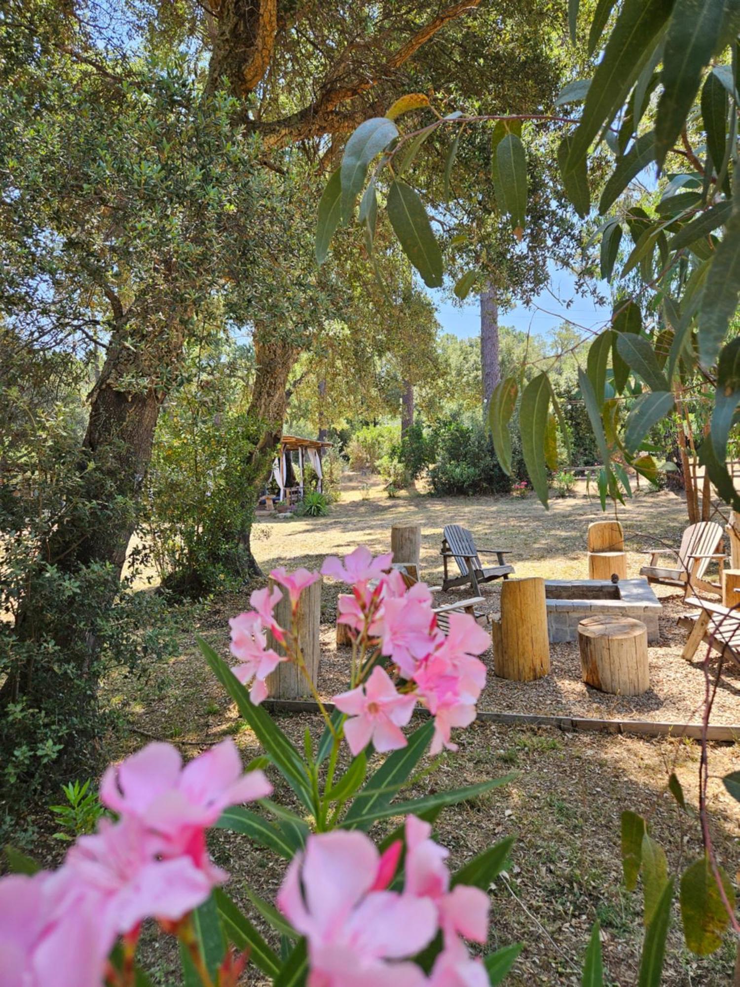 Domaine Authentique De Rose Luxury tent Porto-Vecchio (Corsica)